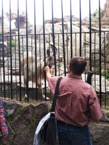 One of the Moscow zoo guests feeding an animal.