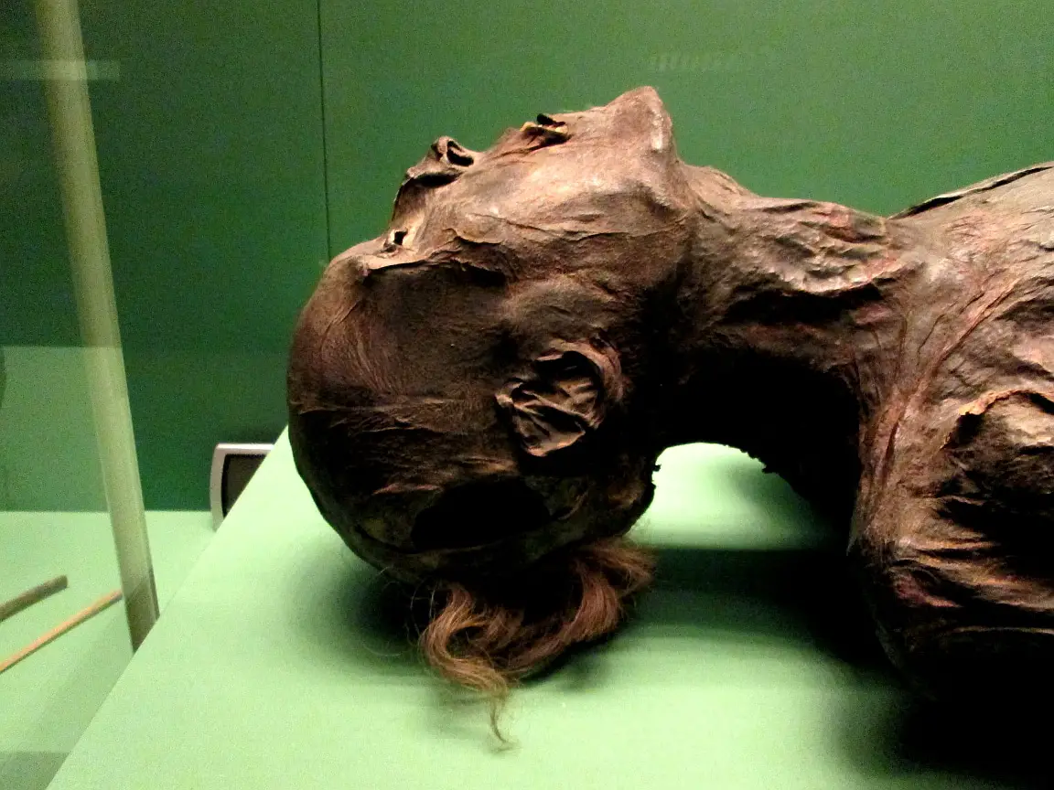Mummy from the Fifth Pazyryk Barrow