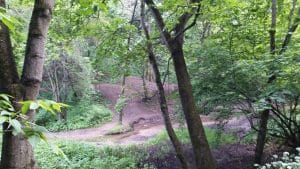 Golosov Ravine in Kolomenskoye Park