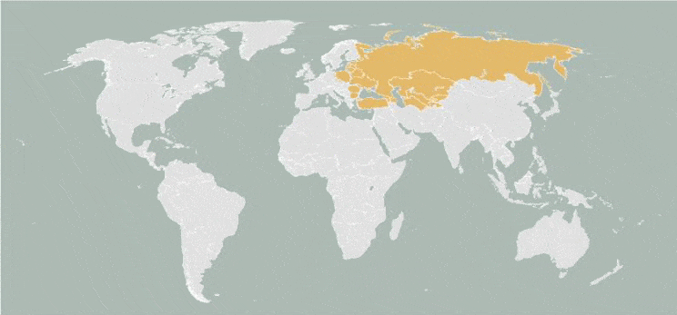 Eurasia coverage
