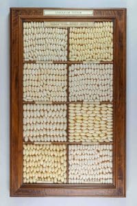 Cocoons Silk Museum