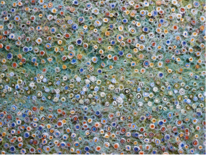 Maia Tsinamdzgurishvili - Shells and Flowers